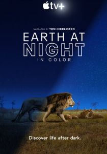 Земля ночью в цвете (2020)